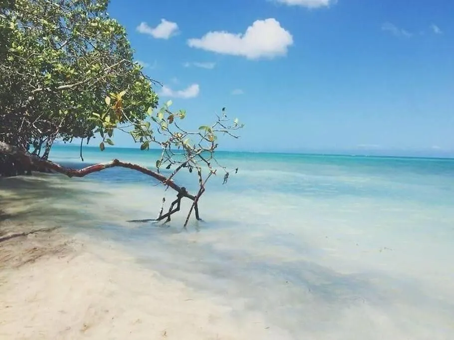 Top Villa With Private Pool, Rooftop And Security Puerto Plata